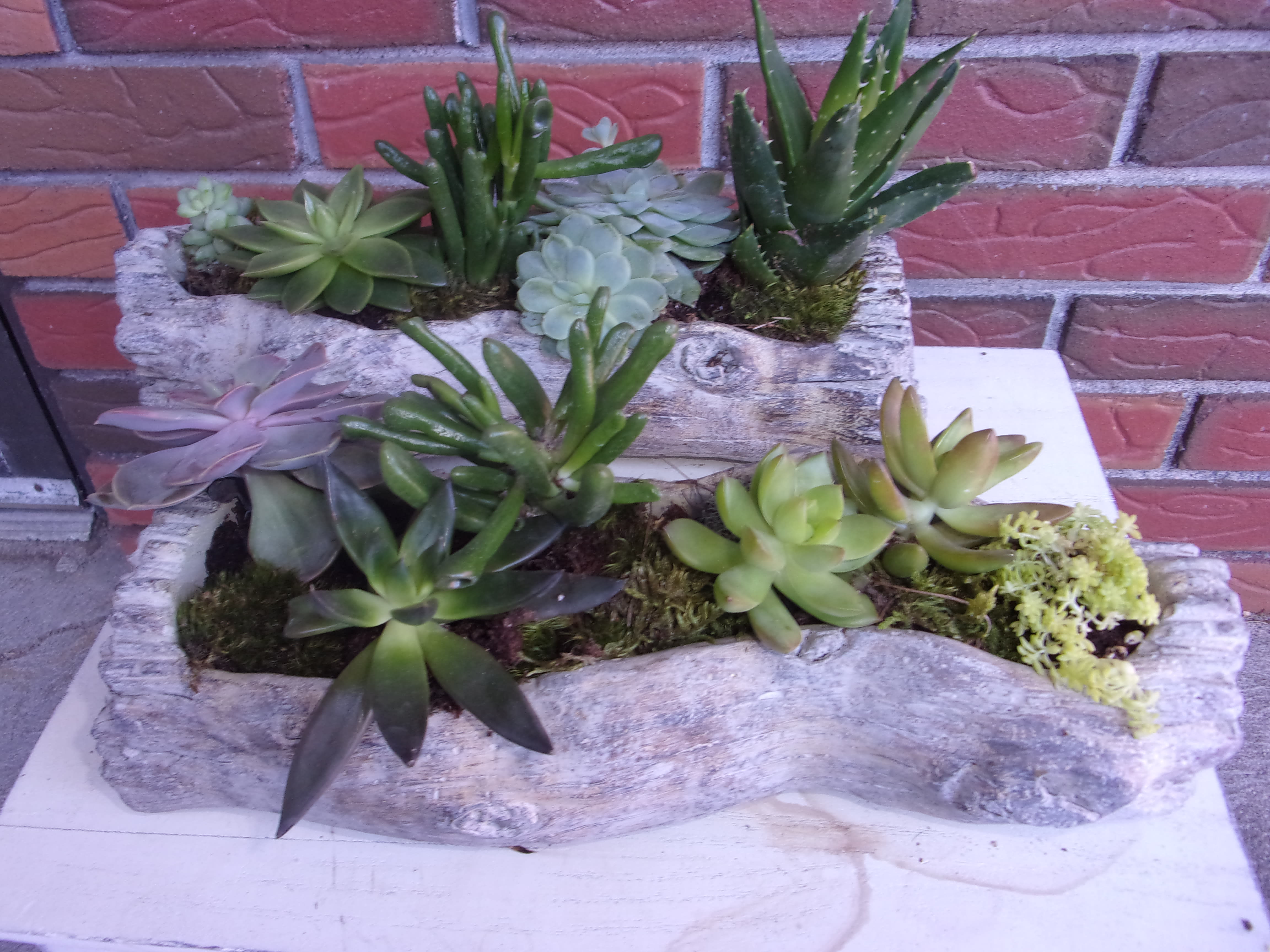 Two rustic planters filled with assorted succulents