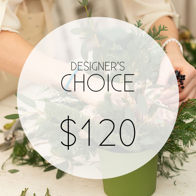 Green floral arrangement in a vase with a designer's choice price overlay