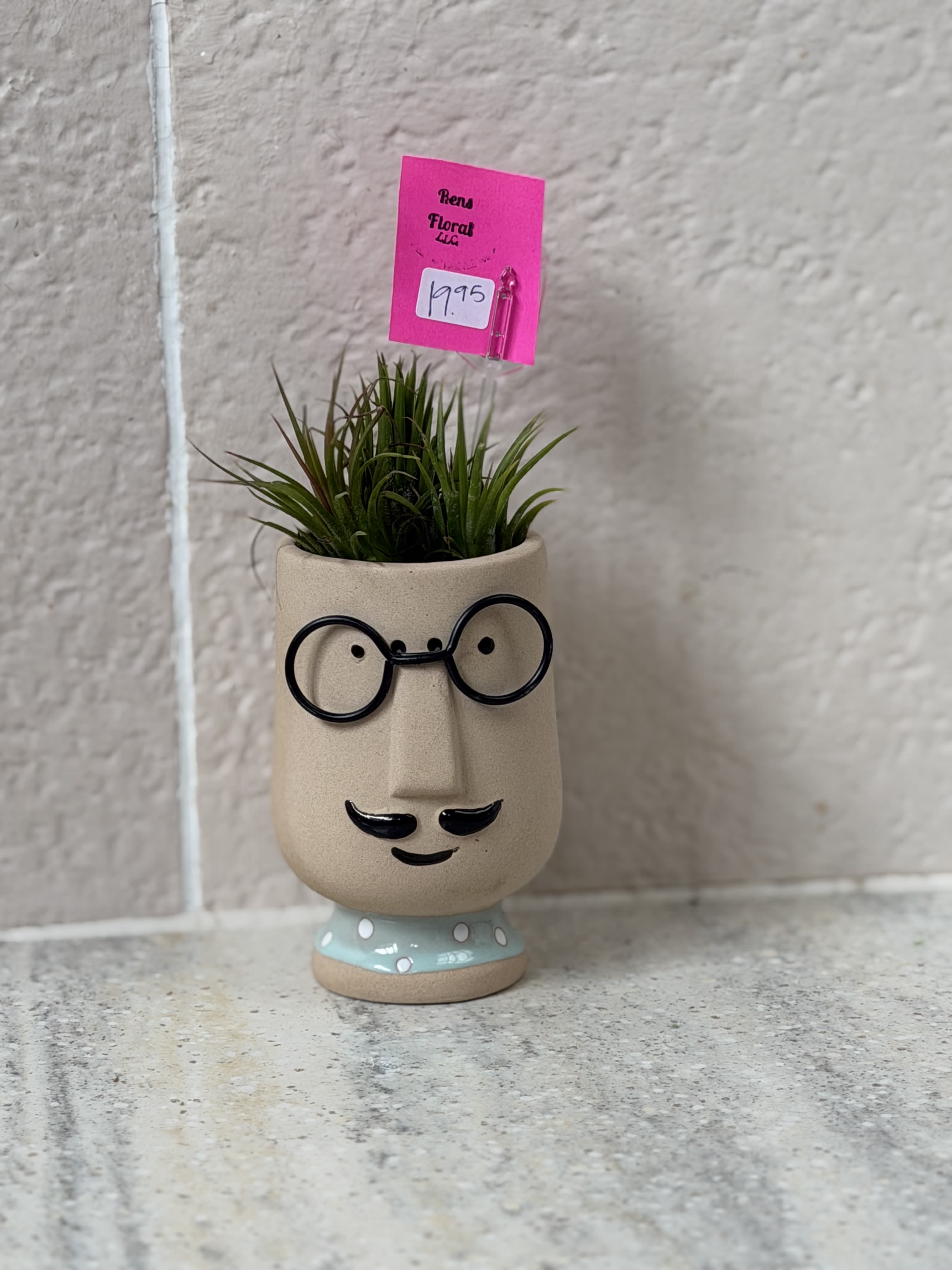 Fred the Desk Plant  - A small planter with air plants for hair.