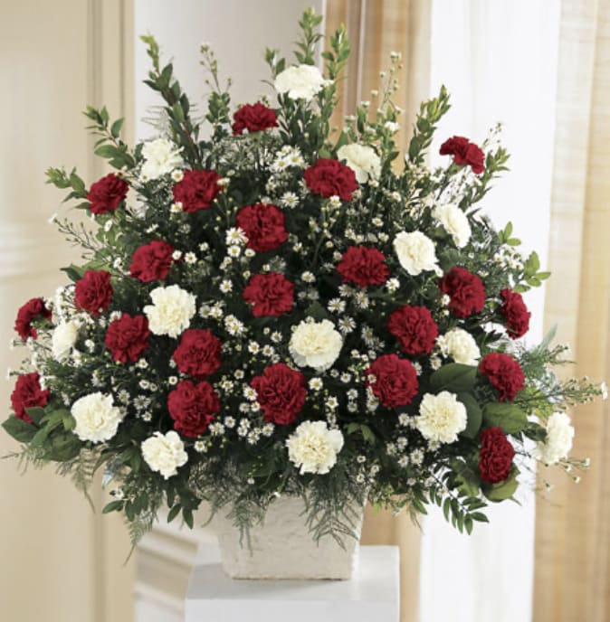 Red and white carnation arrangement in a white container