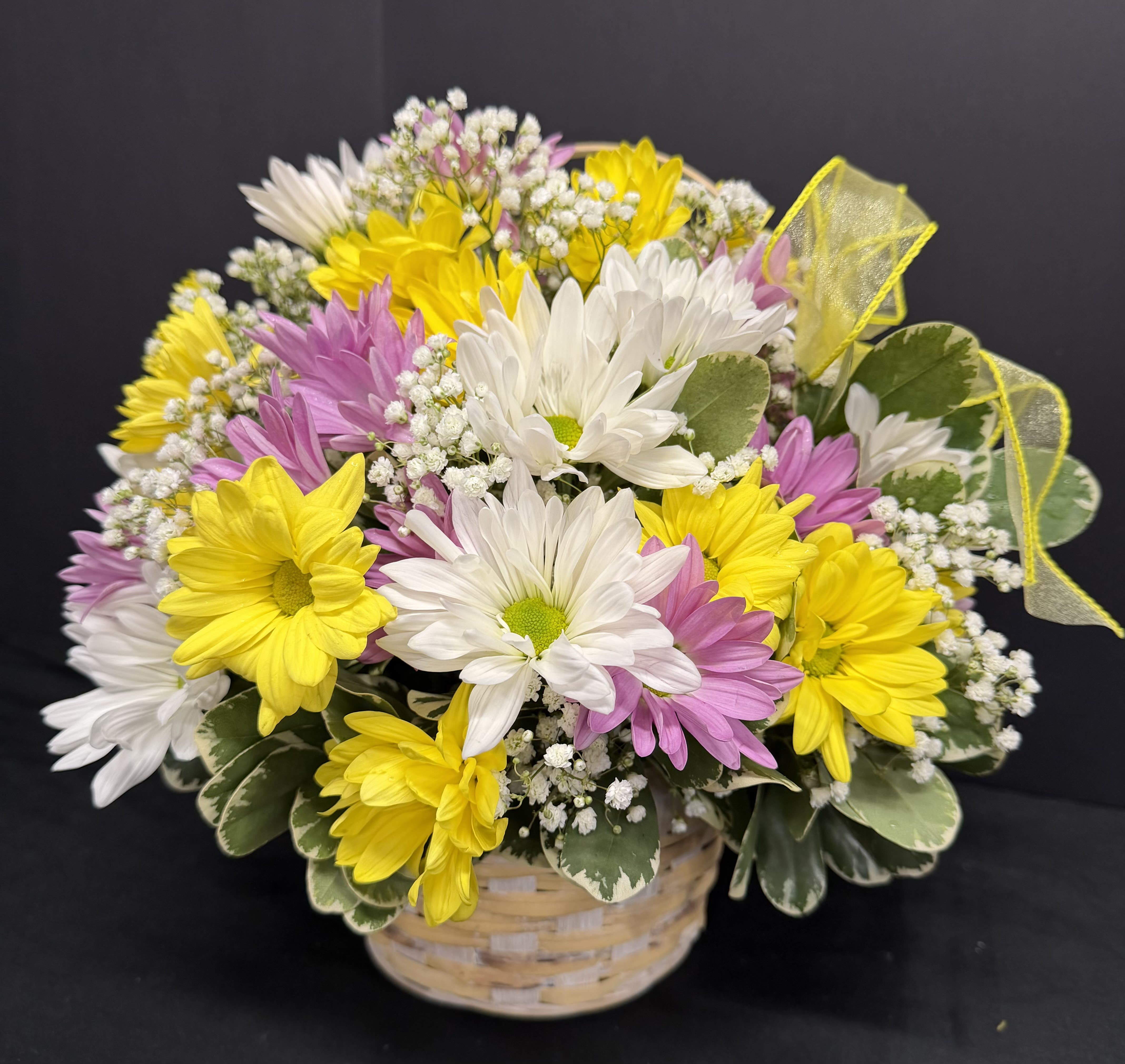 OOpsie Daisy - Our daisy basket is designed using colorful  purple, yellow and white daisies.  Basket may vary according to availability.  A must for your daisy loving person in your life. Celebrate any occasion with this beatiful arrangement. 