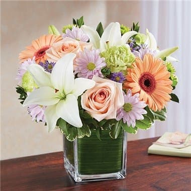 1-800-Flowers® Healing Tears™ Multicolor Pastel - Soothe an aching heart with a sentimental tribute in soft, delicate shades. Our sympathy arrangement of pretty pastel roses, peach daisies, and white lilies, expertly gathered in a clear glass cube lined with a Ti leaf ribbon, makes for a warm gesture of comfort and healing. •Arrangement of pastel roses, peach Gerbera daisies, white Asiatic lilies, lime green carnations and lavender monte casino and daisy poms; accented with fresh greenery •Artistically designed by our florists in a classic clear glass cube lined with a Ti leaf ribbon; vase measures 5"H x 5"D •Large arrangement measures approximately 11"H x 11"L •Medium arrangement measures approximately 10"H x 10"L •Small arrangement does not include Gerbera daisies and measures approximately 9"H x 9"L •Perfect gift for delivery to the homes of family members or friends •Our florists hand-design each arrangement, so colors, varieties, and container may vary due to local availability •Lilies may arrive in bud form and will open to full beauty over the next 2-3 days