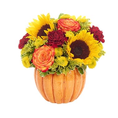 Plentiful Thanks - Plentiful thanks will be coming your way when your recipient sets their eyes on this magnificent collection of sunflowers, roses, button poms, carnations and solidago in a shiny glazed pumpkin planter. A wonderful decorative complement for any table or shelf during the fall and Thanksgiving season. Measures 11”H X 12”L. Suggested Retail Price: $59.99.