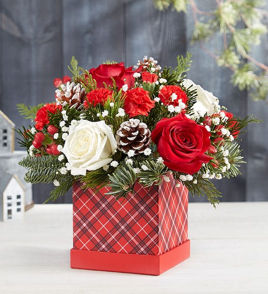 Red and white rose arrangement in a plaid gift box with pinecones