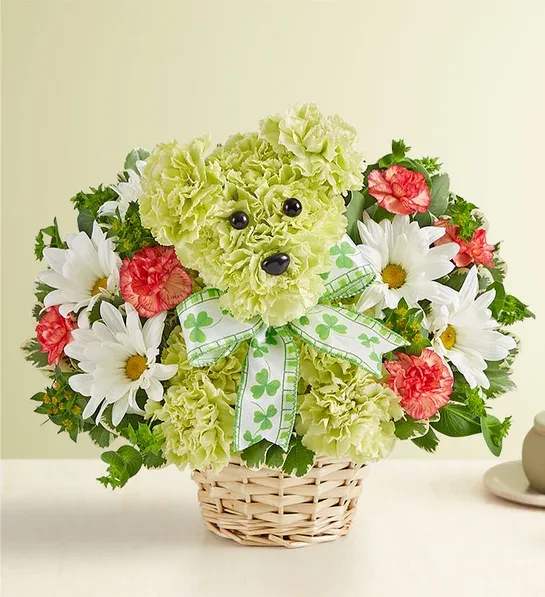 Green teddy bear flower arrangement in a basket with daisies and carnations