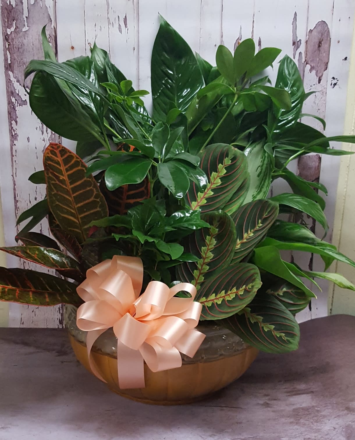12 inch Dishgarden - A long lasting, lush green assortment of assorted tropical foliage plants. THE PLANTS AND CONTAINER WILL VARY FROM THE PICTURE. Approximate size: 14"W x 18"H.   DELUXE version will contain a few fresh stem accents. YOU MAY REQUEST SPECIFIC COLORS OF FLOWERS IN THE "SPECIAL INSTRUCTIONS" BOX.