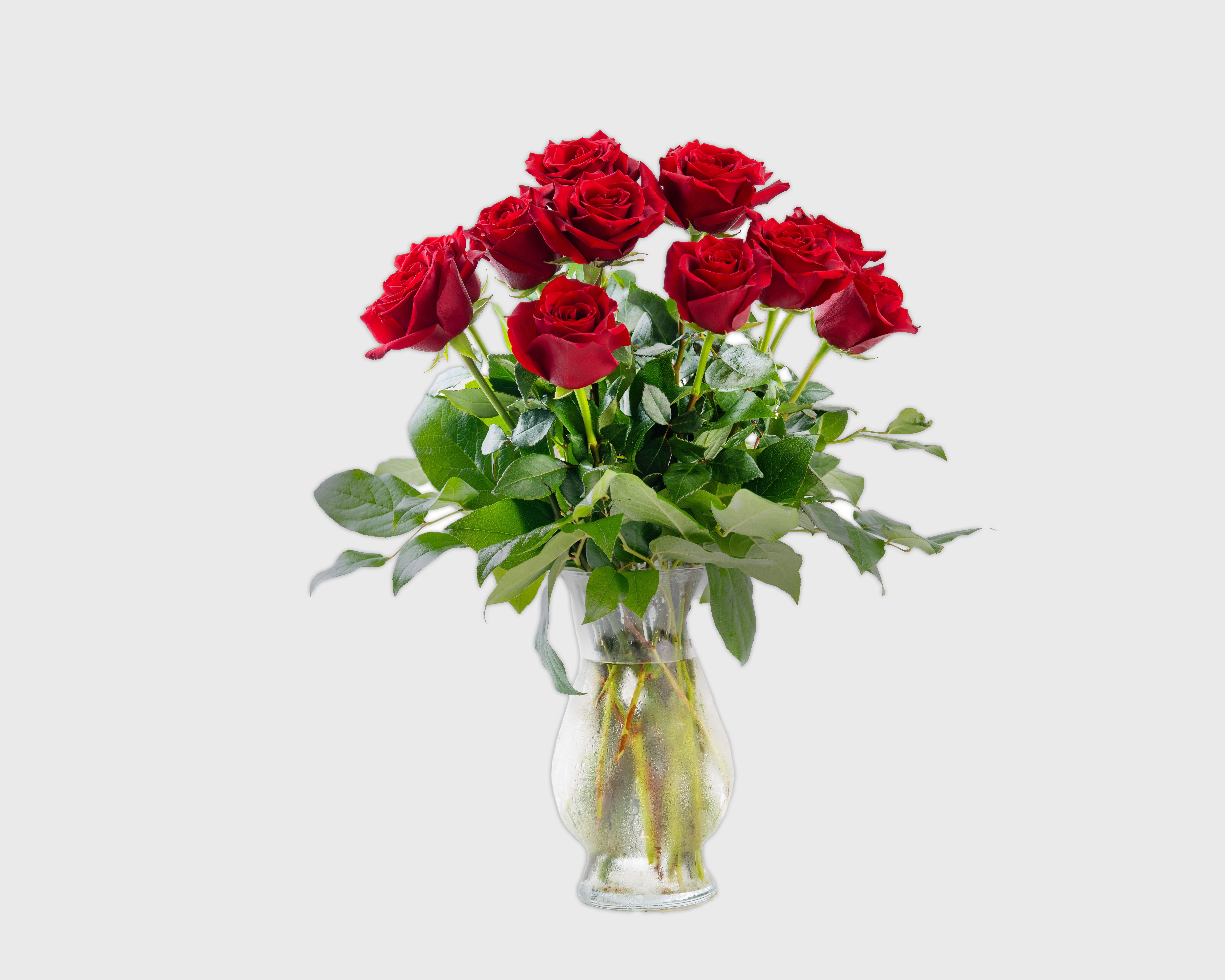 Dozen Long Stemmed Red Roses - One dozen long stemmed red roses.