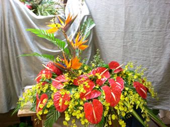 Sympathy Arrangements15/ 5-7 Days - Please allow 5–7 business days for all sympathy arrangements to ensure they arrive with care and consideration. Orders without a proper delivery date will be canceled.   Please contact the shop for further details