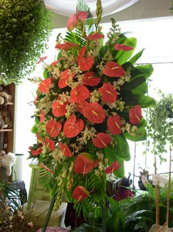 Tall arrangement of red anthuriums with broad green leaves