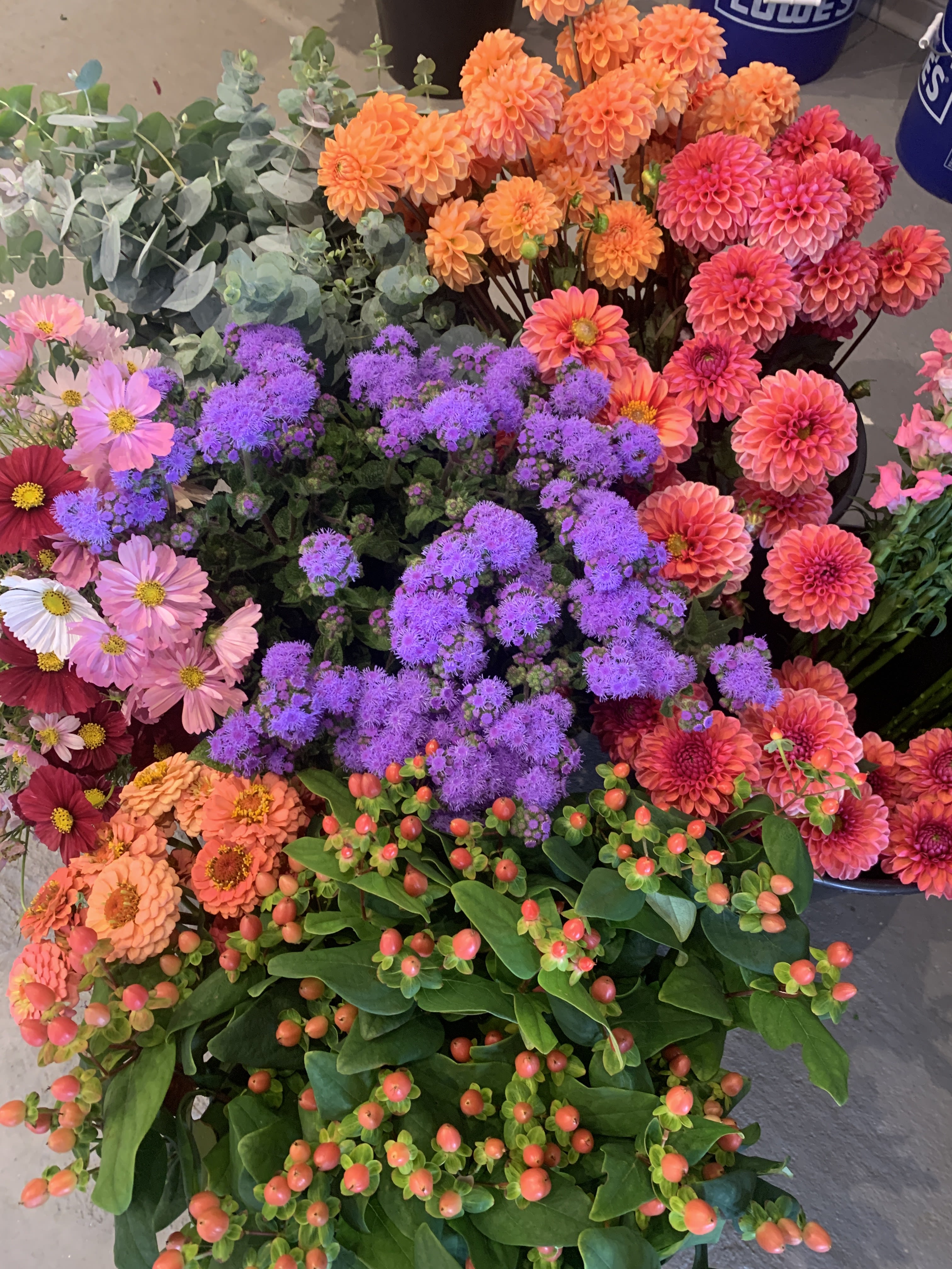 DIY Bucket - Availability June - October   Please ORDER 1 WEEK before your desired pick up/deliver date DIY buckets are a great way to get local fresh flowers for your small event.  All buckets are filled with seasonal blooms direct from the field, harvested, conditioned and ready for arranging.   Special requests for particular flowers cannot be taken but you can be assured that you will receive beautiful fresh blooms for you to create with!   For larger quantities please contact us. 