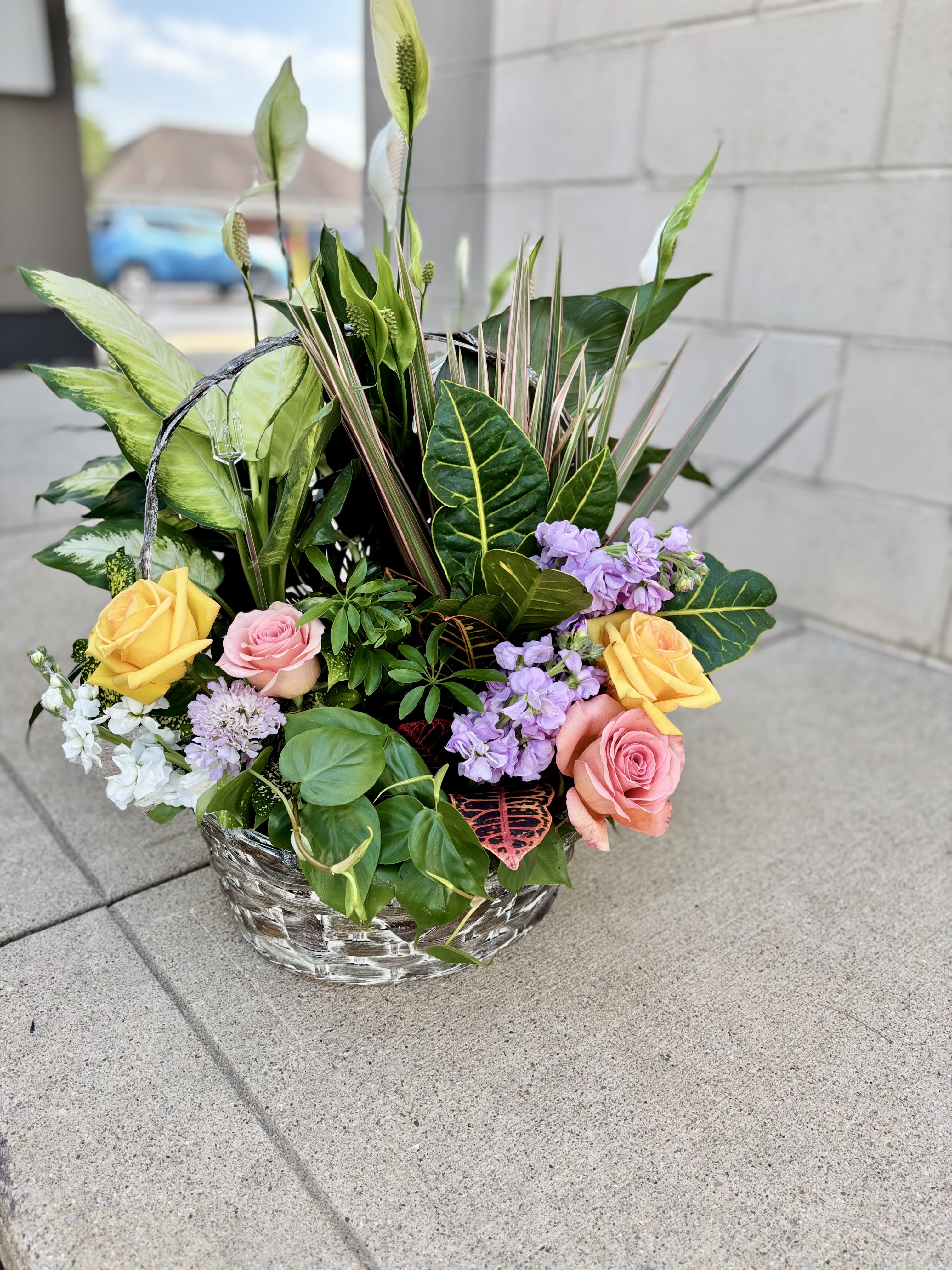 Garden in Bloom - A thoughtful blend of living plants and fresh floral artistry, The Living Bouquet offers beauty for today and a lasting gift for months to come.  Each garden is handcrafted using the freshest plants and seasonal flowers available. As the fresh blooms naturally fade, the living plants can continue to grow, serving as a lasting reminder of your thoughtfulness.  A meaningful choice for sympathy, birthdays, get-well wishes, housewarmings, anniversaries or simply letting someone know you are thinking of them.  Plant varieties, flower varieties, colors and container style will vary based on seasonal and market availability while preserving the overall size, beauty and value of the design.
