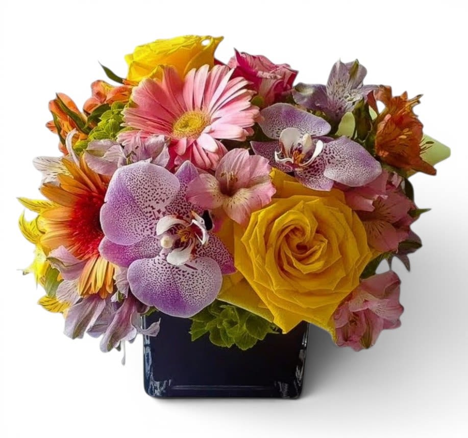 Pastels In Black Designer's Choice - Send this beautiful pastel blossoms beauty today to make them smile with it's lovely mixed pastel blossoms of that day roses orchids and more arranged in a modern black glass vase. Stunning and perfect for ever occasion. Always made extra special and unique each time. Send them happiness.