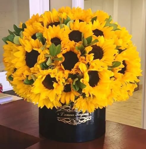 Large dome of sunflowers arranged in a black hatbox-style container