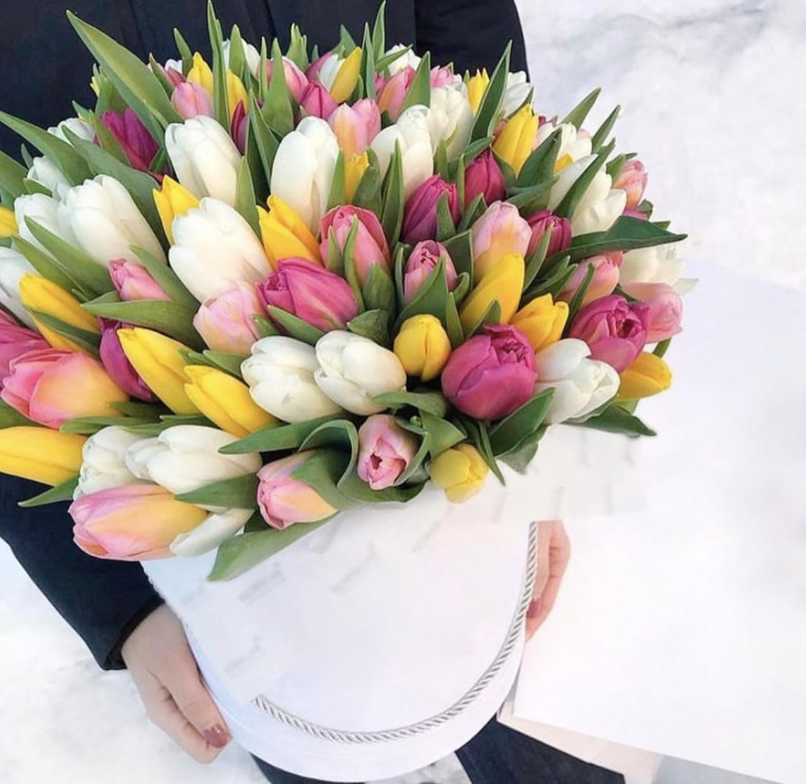 Bouquet of pink, white, and yellow tulips wrapped in white paper