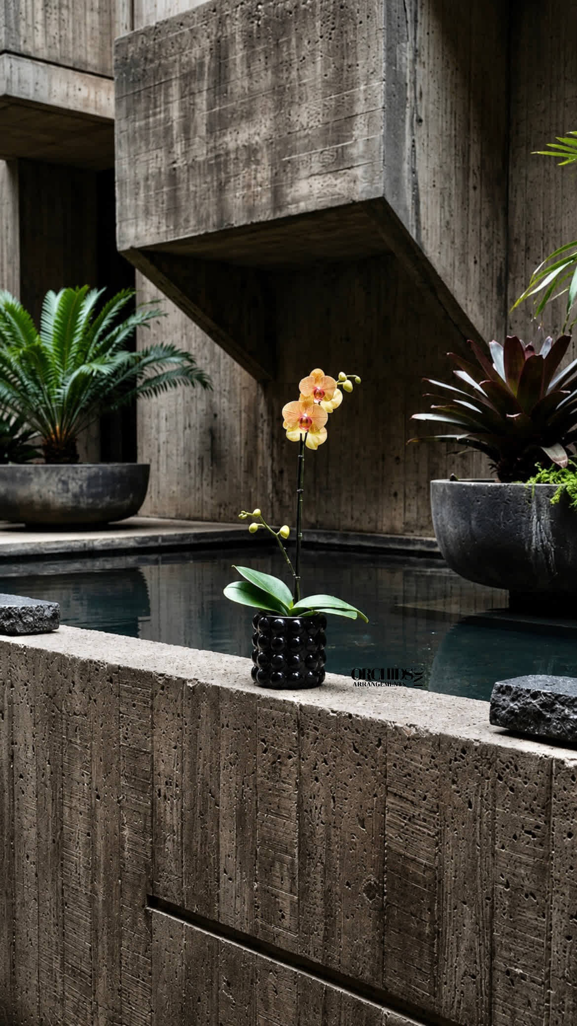 Single orchid stem in a black textured pot beside a pool