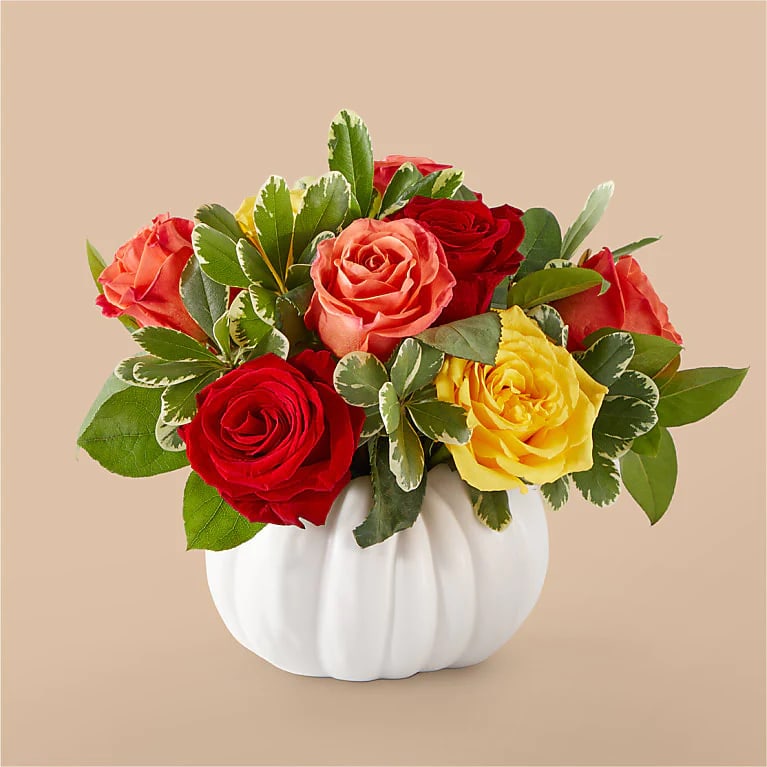 Gourd of Color - A fresh approach to the traditional pumpkin arrangement, this bouquet is great for anyone who wants to add a fresh touch to their fall seasonal décor. Perfect as a gift to anyone you're grateful for. Pumpkin color may be orange or white.
