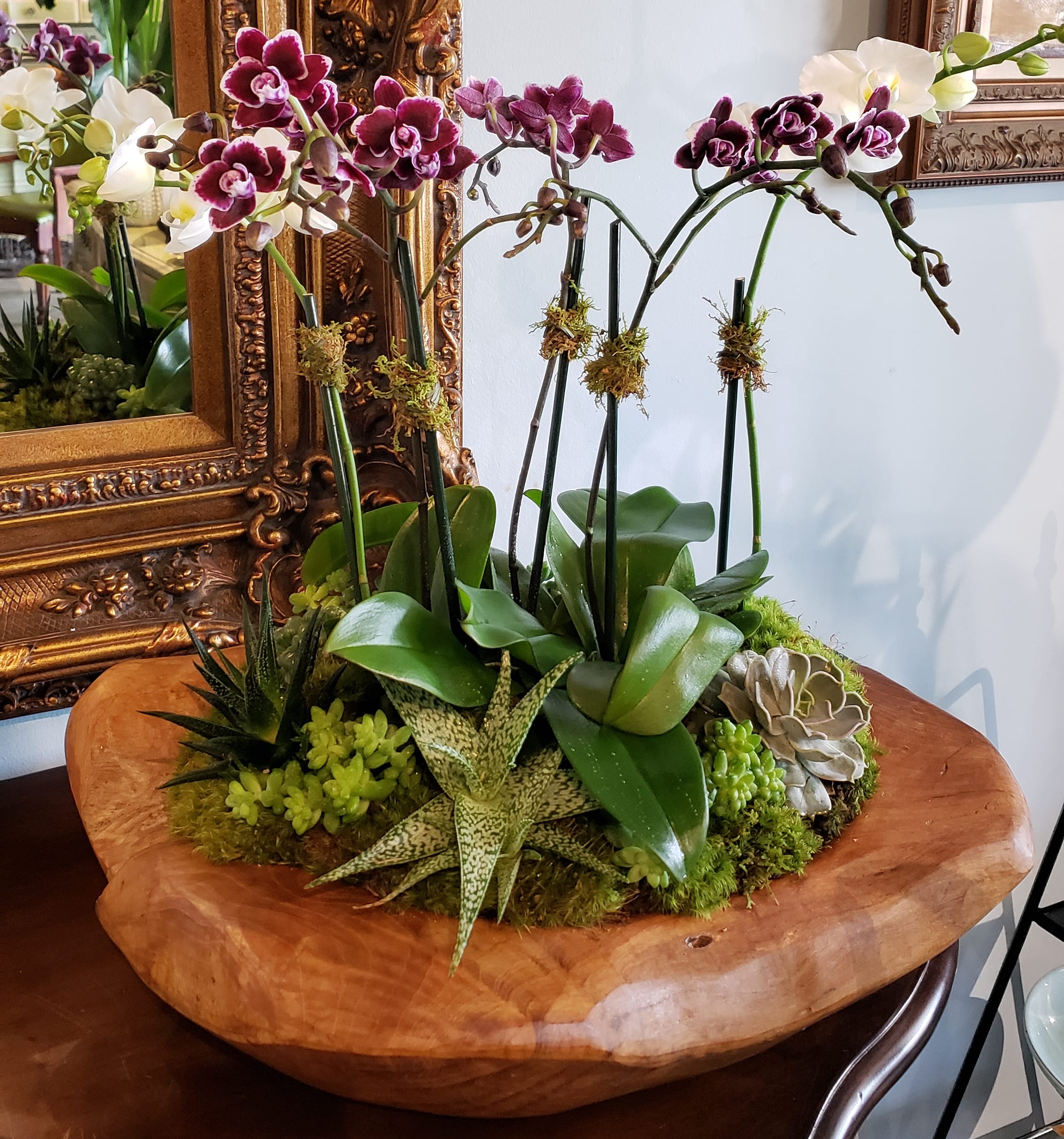Potted orchids and succulents arranged in a shallow wooden bowl