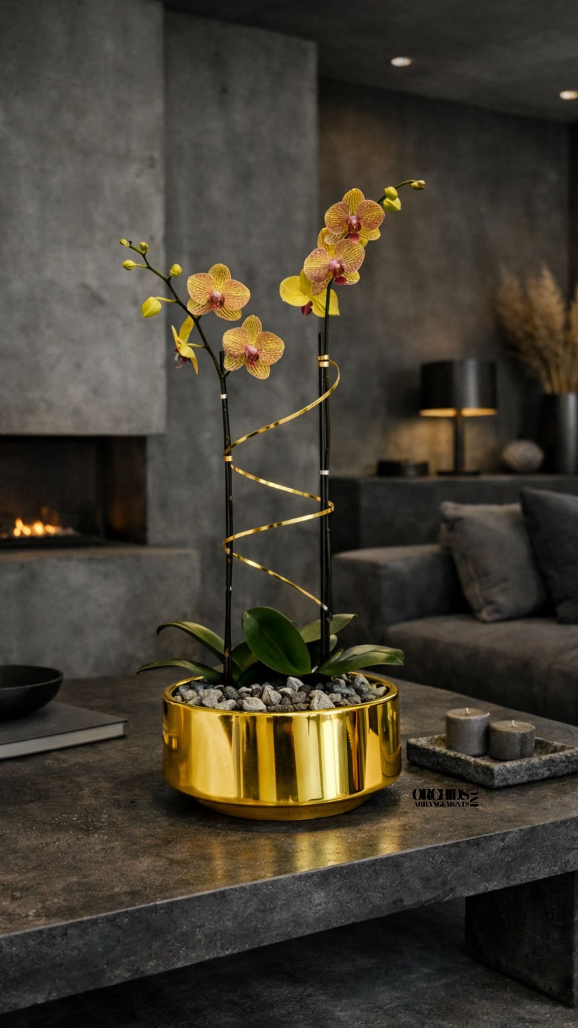 Two orchid stems in a gold planter with a spiral ribbon