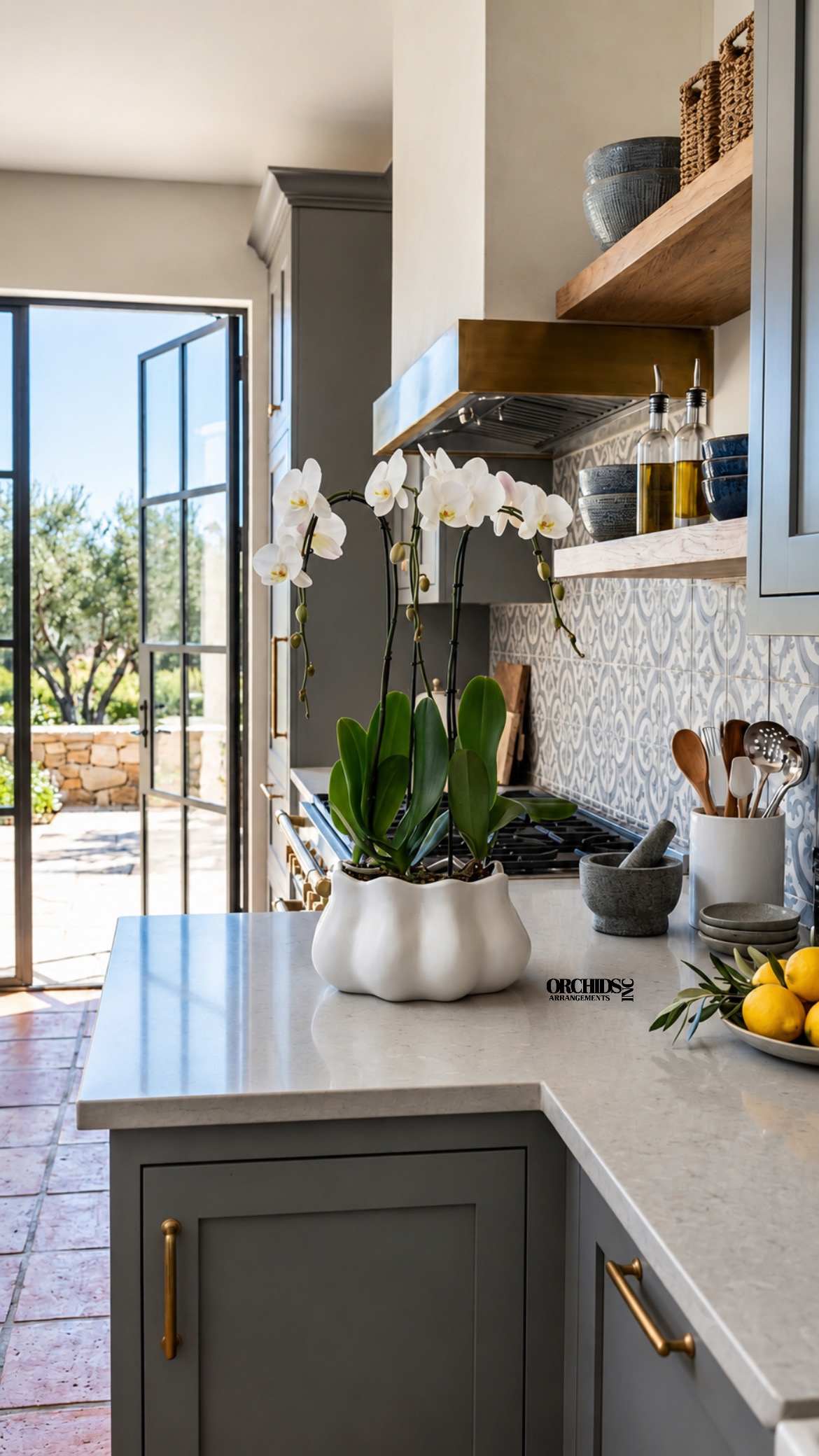 White orchids in a white ceramic pot on a kitchen counter