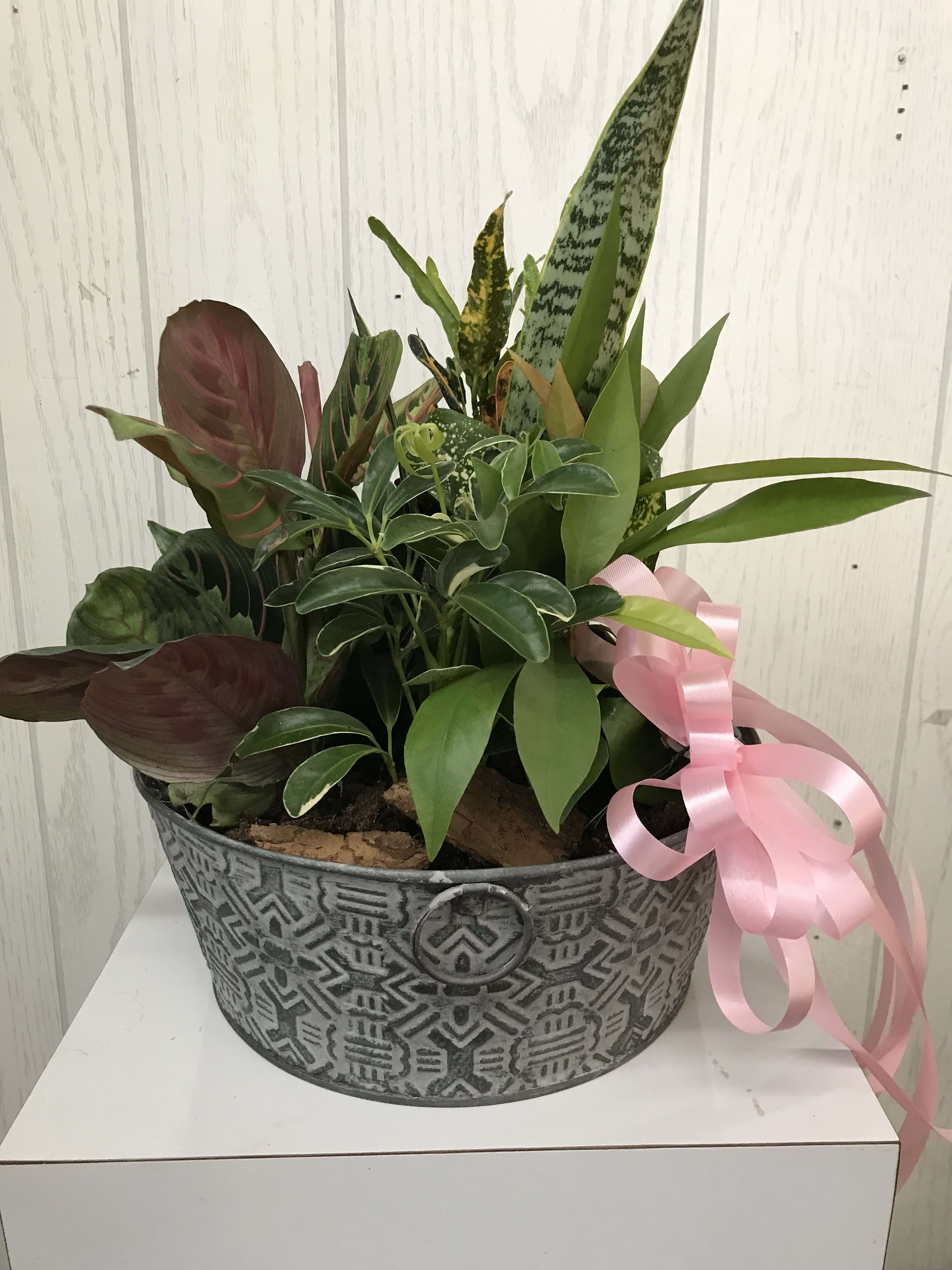 Mixed potted houseplants in a decorative metal container with a pink ribbon