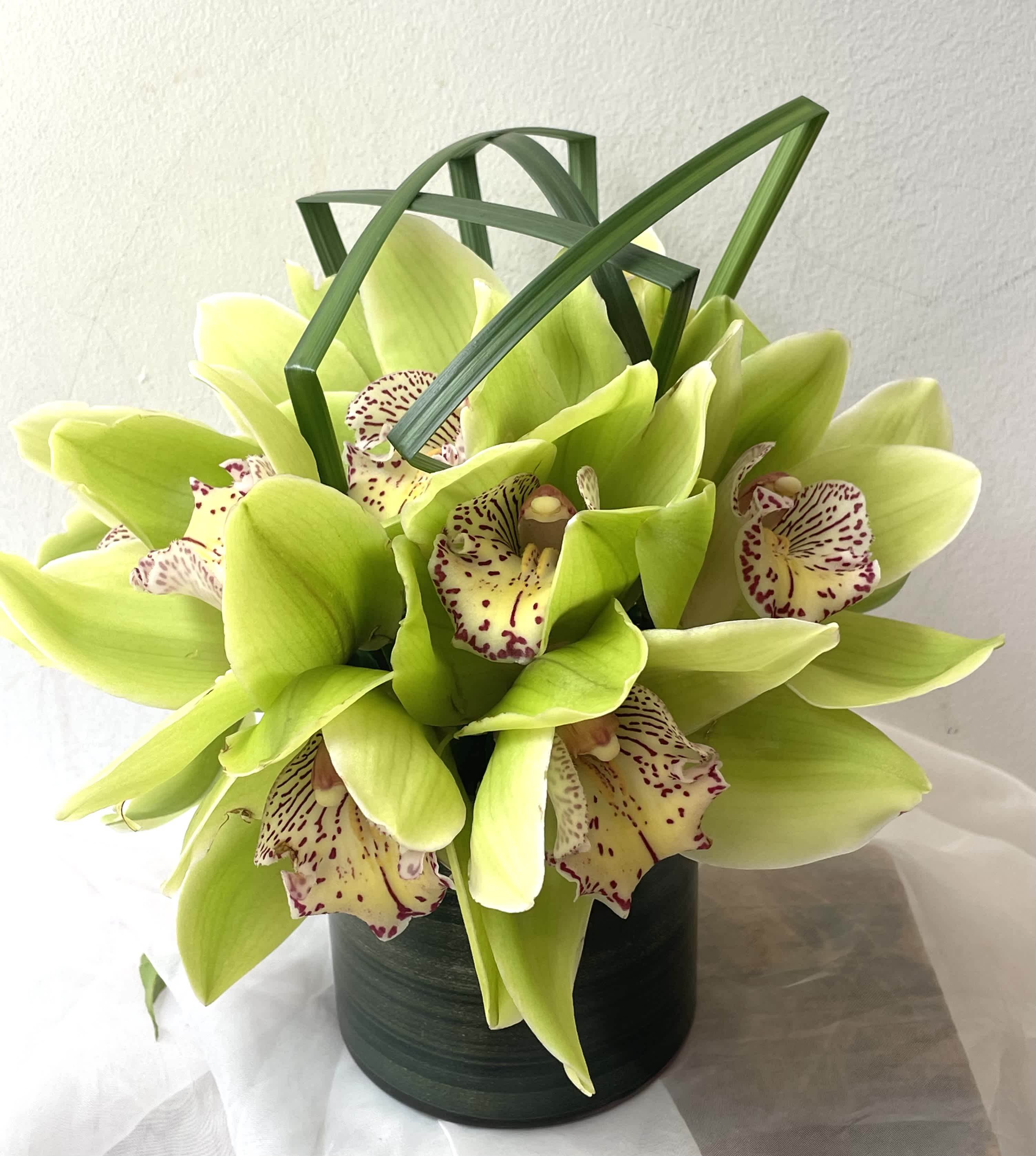 Lime green orchids arranged in a dark cylindrical vase