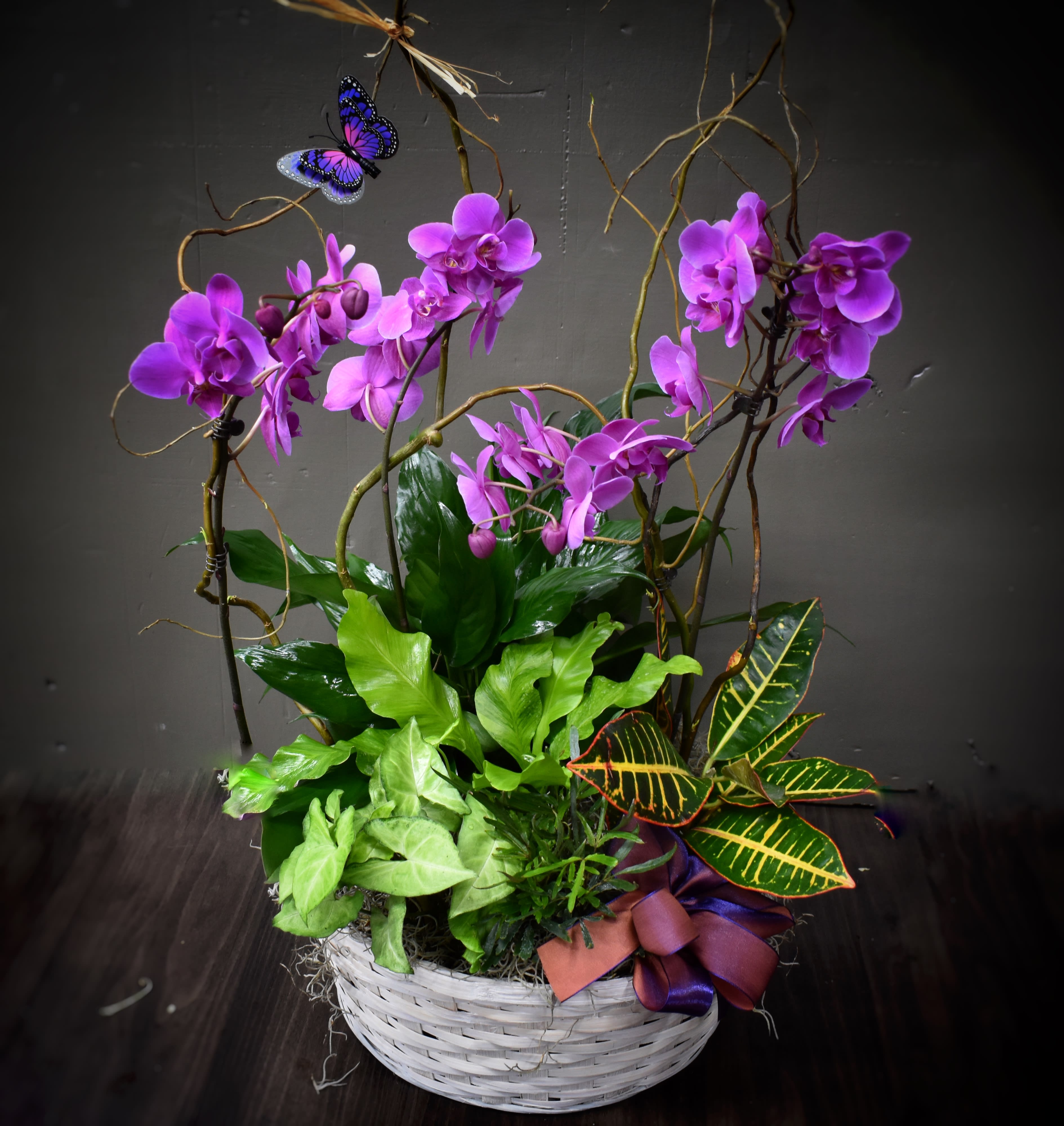Purple orchids in a white basket with green foliage and a ribbon bow