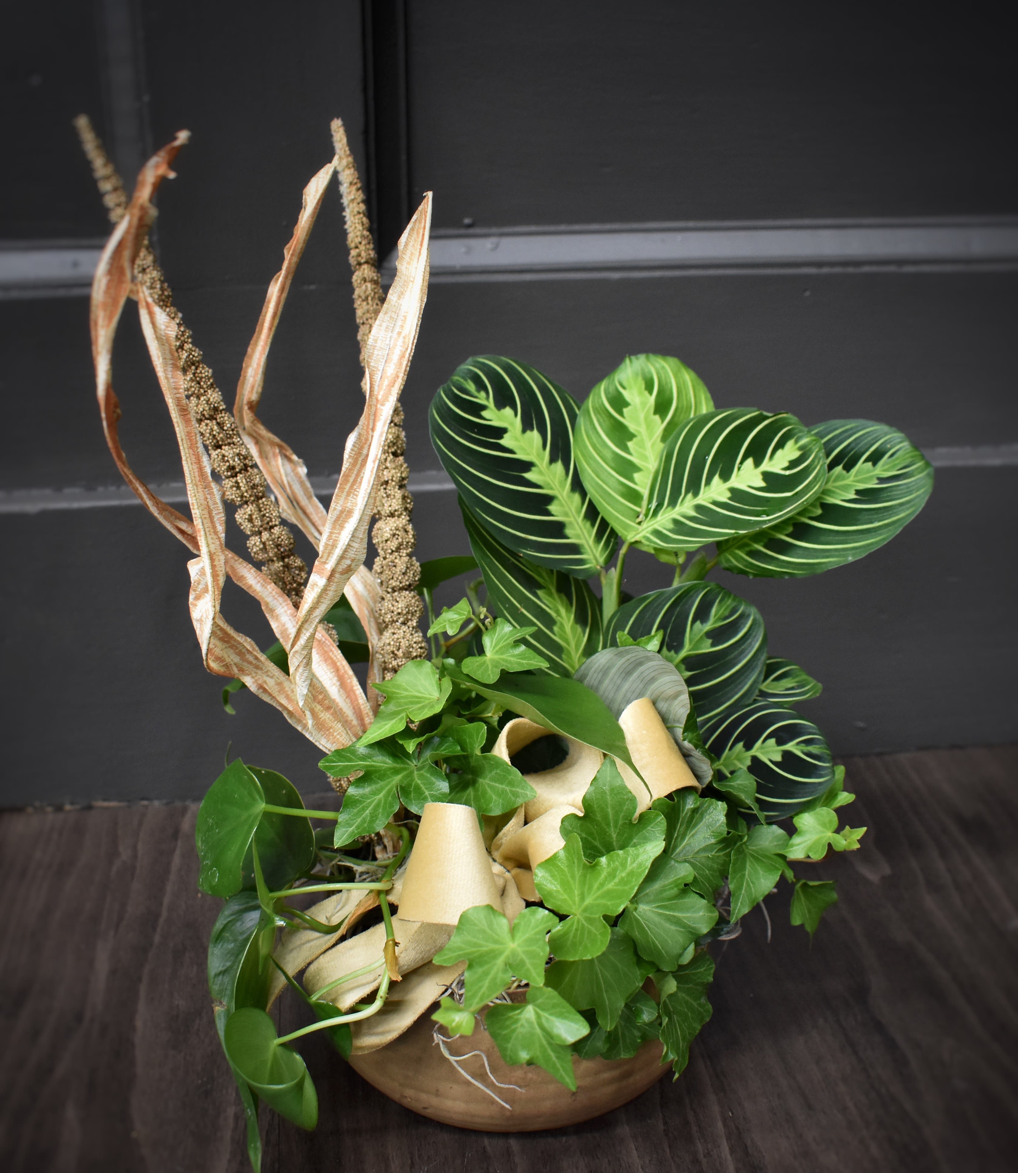Potted arrangement of assorted green houseplants with tall dried seed stalks