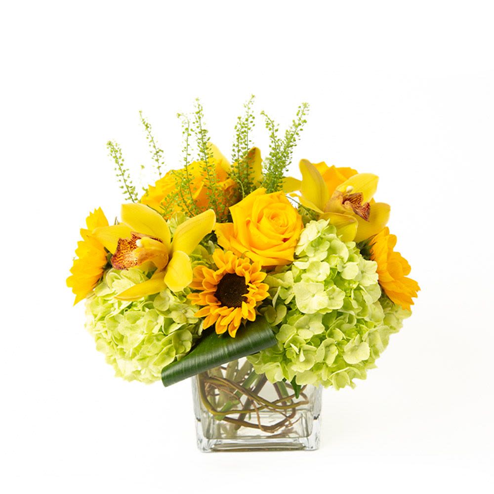 Low arrangement of yellow roses, orchids, and sunflowers with green hydrangeas in a glass cube vase