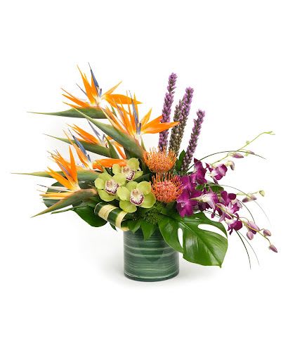 Tropical arrangement with orange birds of paradise, orchids, and protea in a green glass cylinder vase.