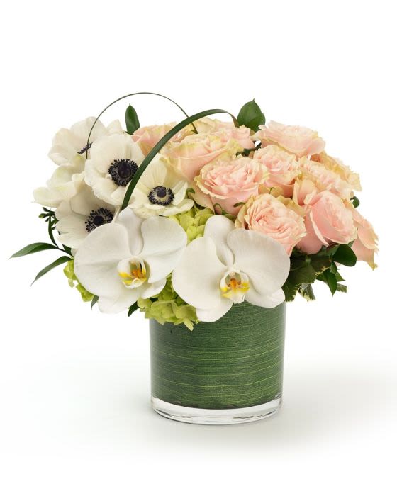 Regal Love - Delicate white and blush blooms with fresh greenery creating a soft, refined and heartfelt arrangement