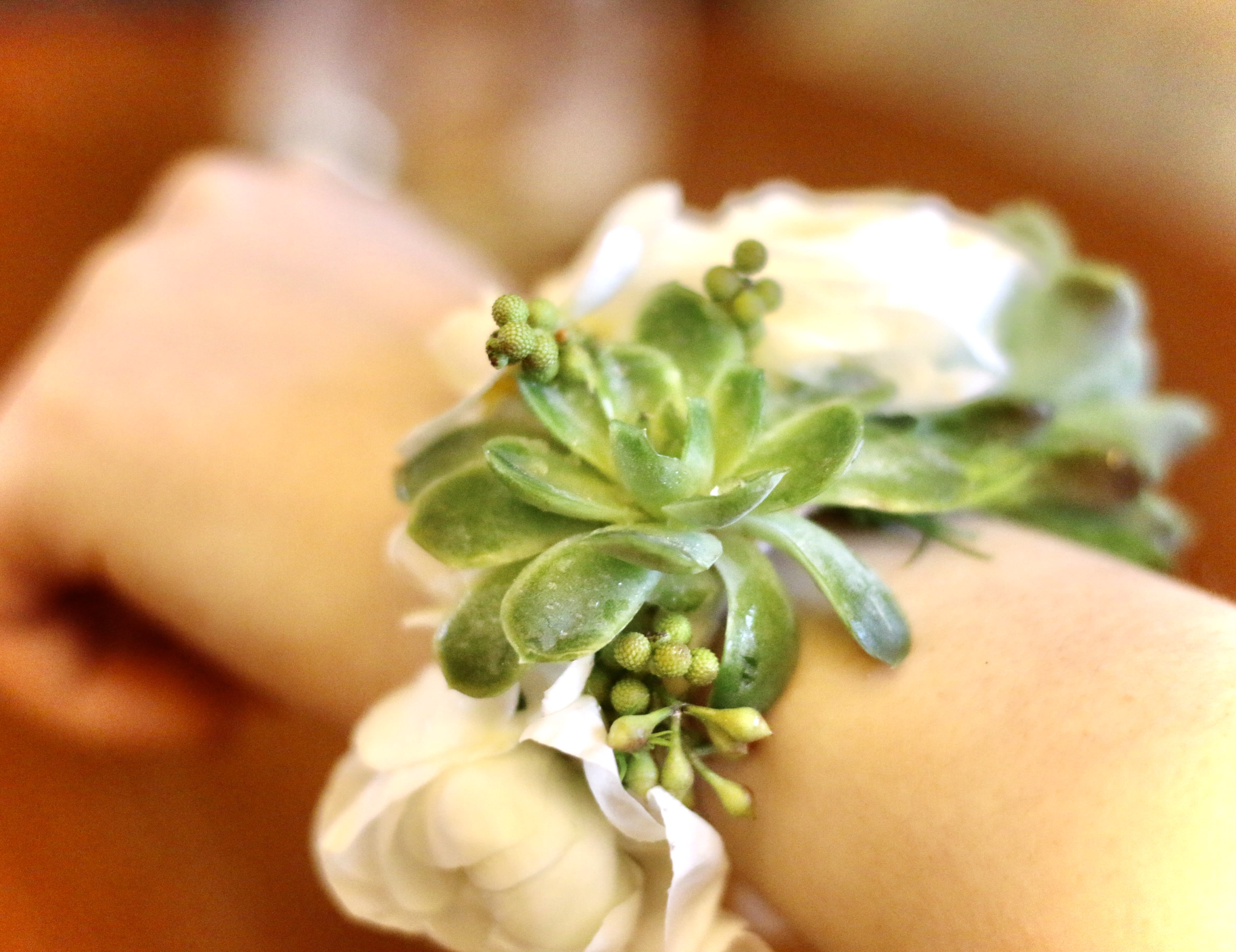 White floral wrist corsage with green succulents on a ribbon band