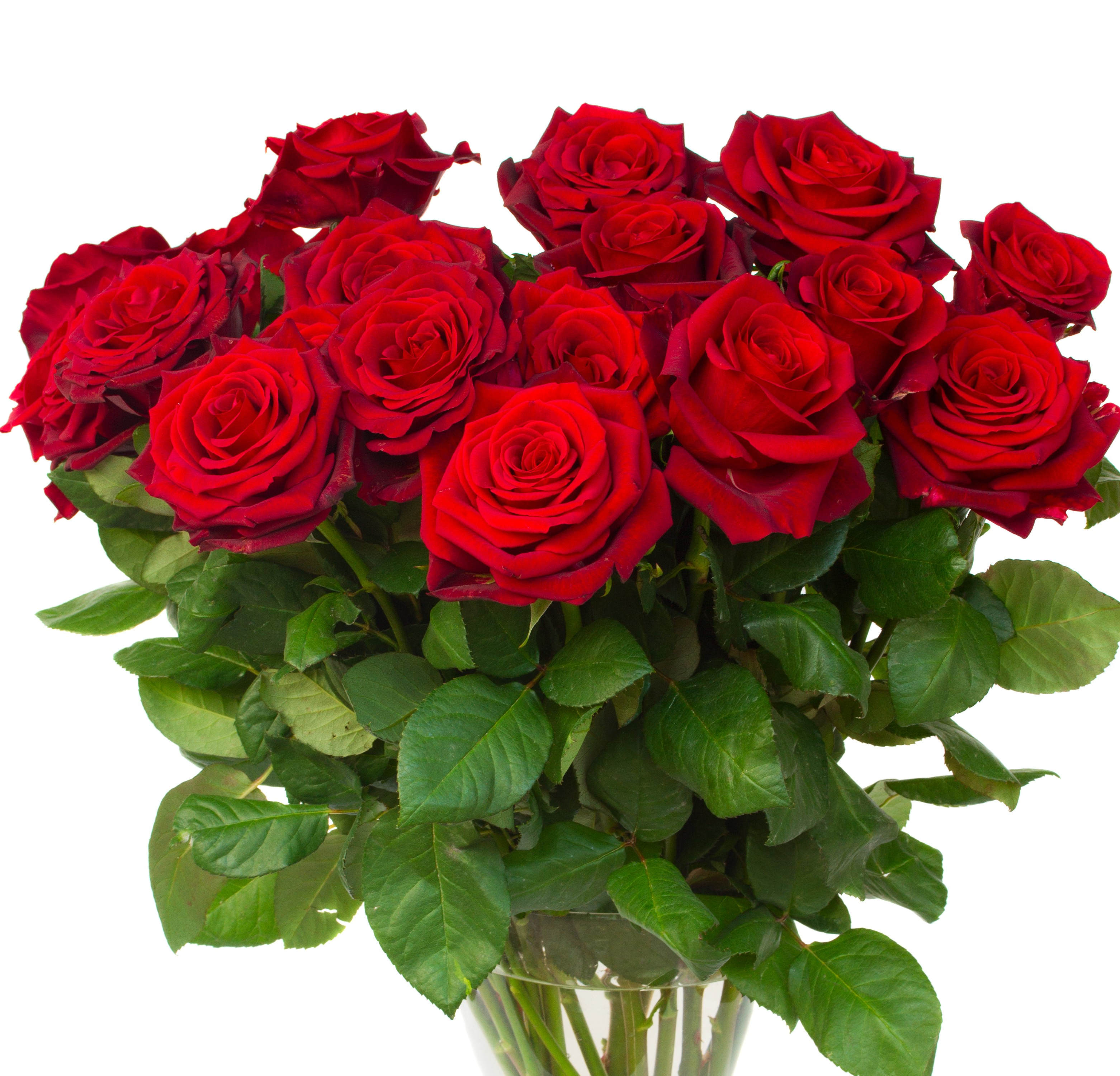 Bouquet of red roses in a clear glass vase