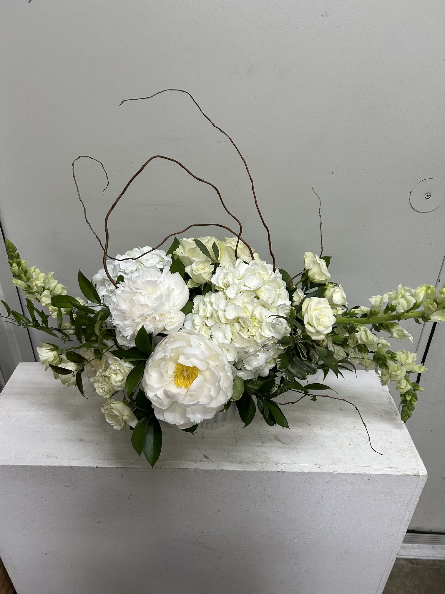 Bells of White - Soft white peonies, clustered hydrangeas, and classic roses come together in a serene low basket arrangement-perfect as a sympathy tribute or a refined wedding accent. The "Bells of White" arrangement reads as quietly elegant, the white and green palette creating a calming, formal presence that lets the recipient feel comforted and thoughtfully remembered.  This low, wide design sits in a basket with curved twig handles that rise above the blooms, giving the piece a sculptural silhouette and a natural, handcrafted touch. Tall snapdragons add subtle vertical movement while dark green foliage frames the pale peonies, hydrangeas and roses for clean contrast and depth. The arrangement's compact profile makes it easy to place on a memorial table, reception buffet, or as a bedside expression of care.  Intended to convey sympathy, celebration, or a timeless "thinking of you," this arrangement sends a message of quiet grace-the kind that helps someone feel seen. Because of its low form and sturdy basket, it's simple to display; keep flowers in fresh water and away from direct heat to extend bloom life.