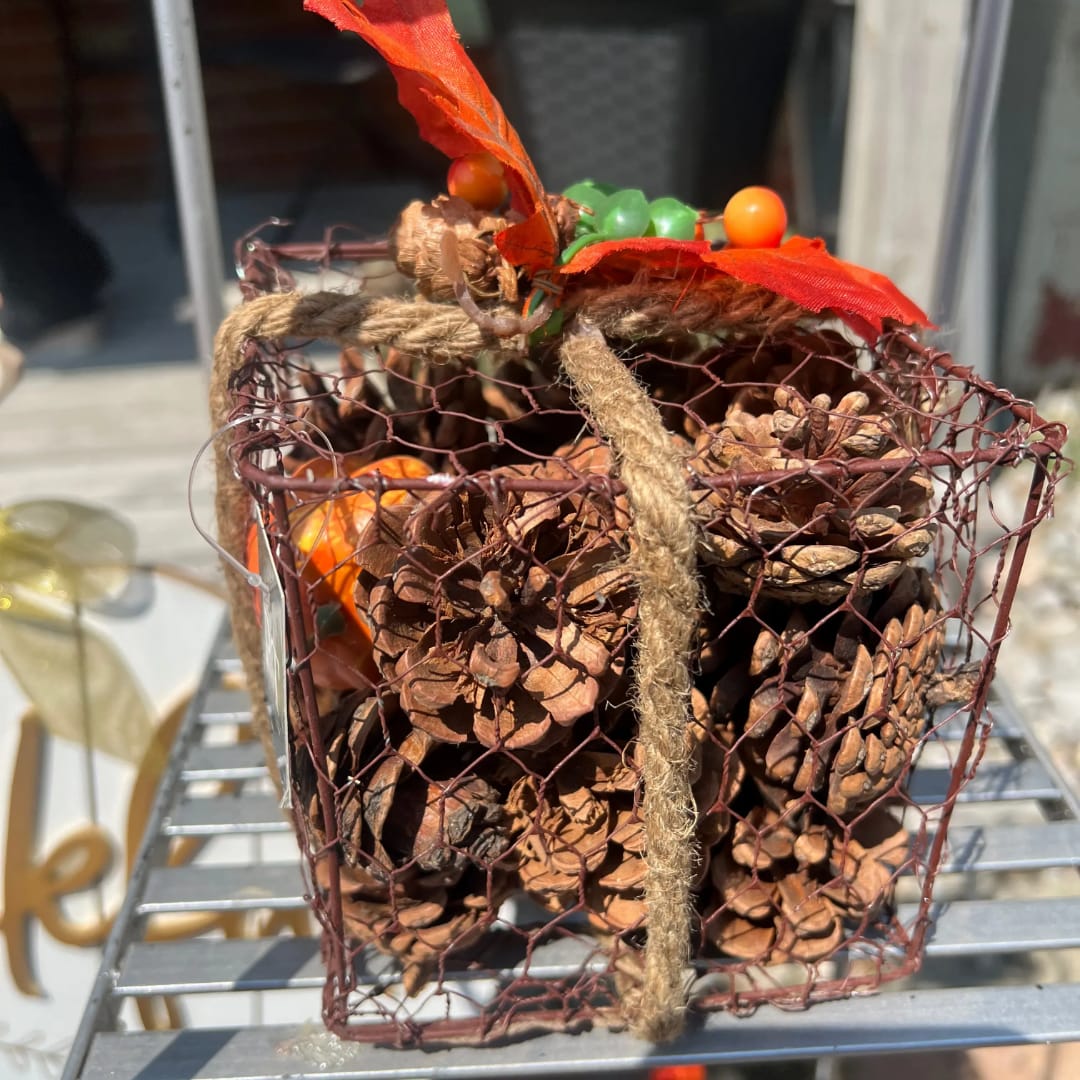Wire basket filled with pinecones and tied with rope and red ribbon