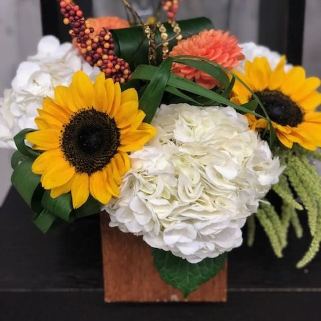 Sunflowers and white hydrangeas in a wooden container with orange blooms