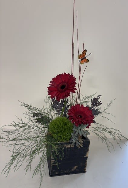 Urban Bloom - Bold, modern, and effortlessly stylish, Urban Bloom features two vibrant red gerbera daisies accented with lush greenery and a delicate butterfly perched on decorative sticks. Designed in a trendy black wooden box, this contemporary arrangement brings a striking pop of color and charm to any space. Perfect for birthdays, thank-you gifts, desk décor, or just because, Urban Bloom is a beautiful expression of nature's elegance with a modern edge.