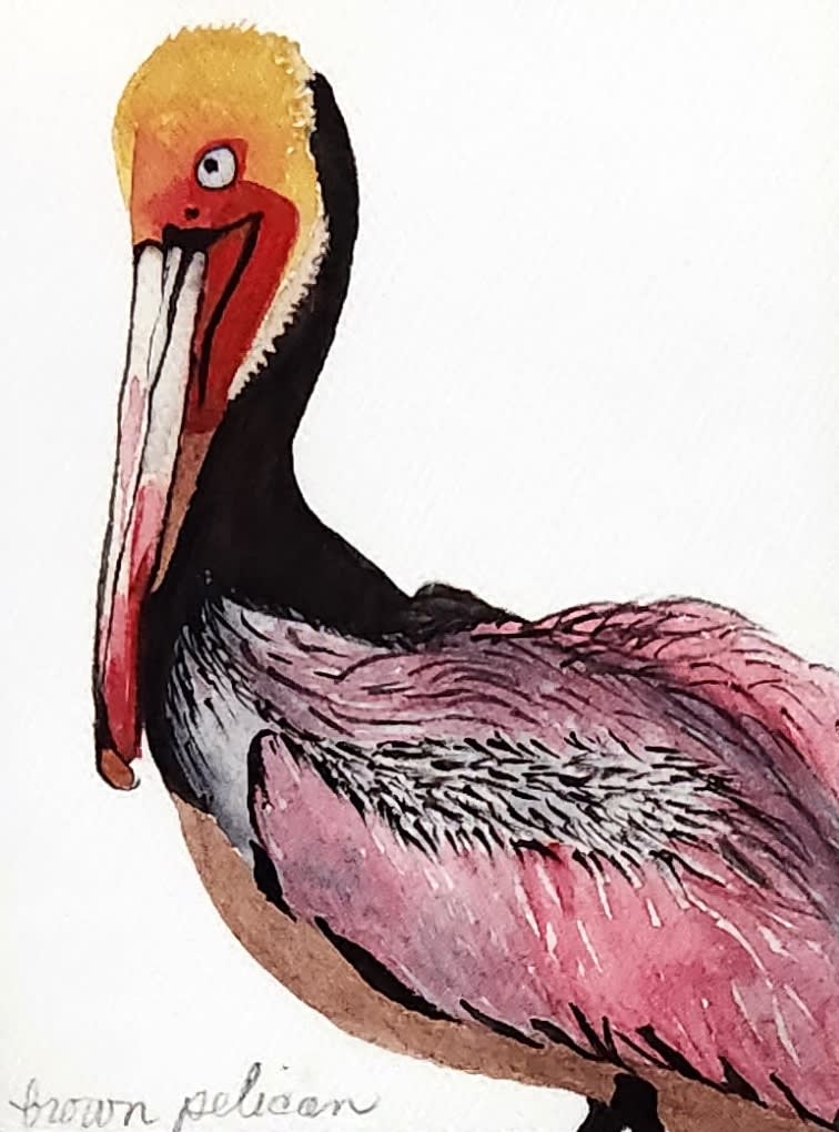 Illustration of a pink and black pelican on a white background