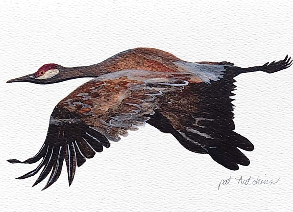 Painting of a flying crane on a white background