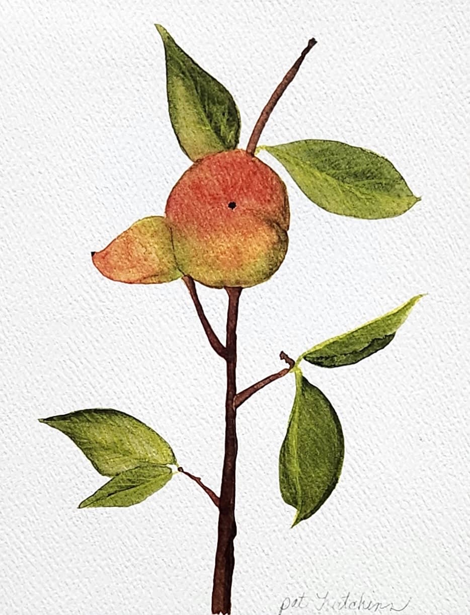 Watercolor painting of a small fruiting branch with green leaves