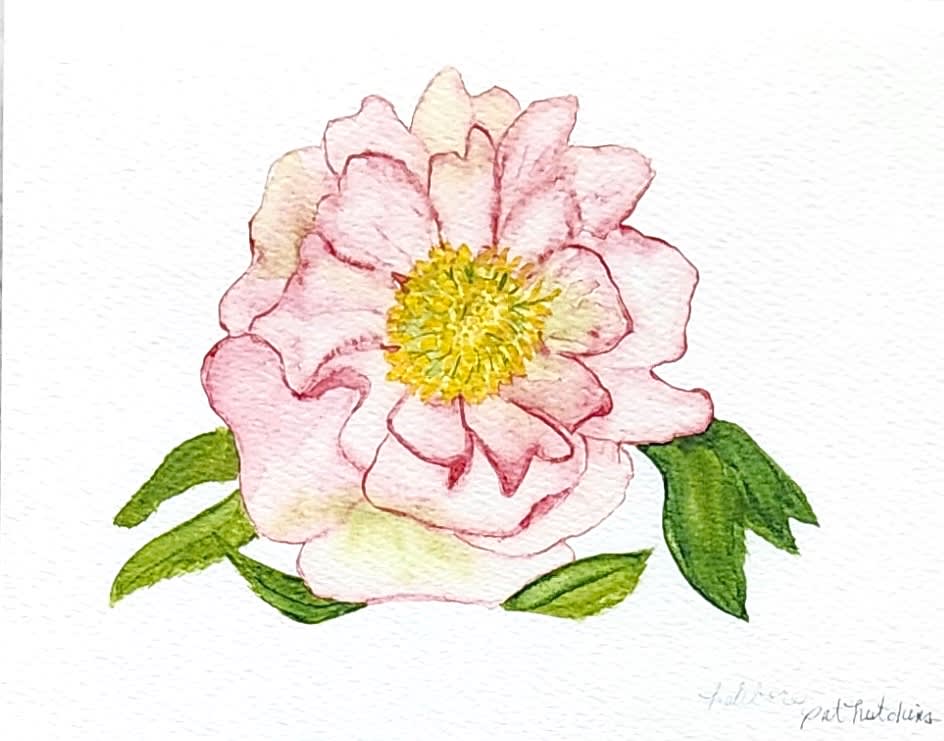 Pink watercolor flower with a yellow center and green leaves