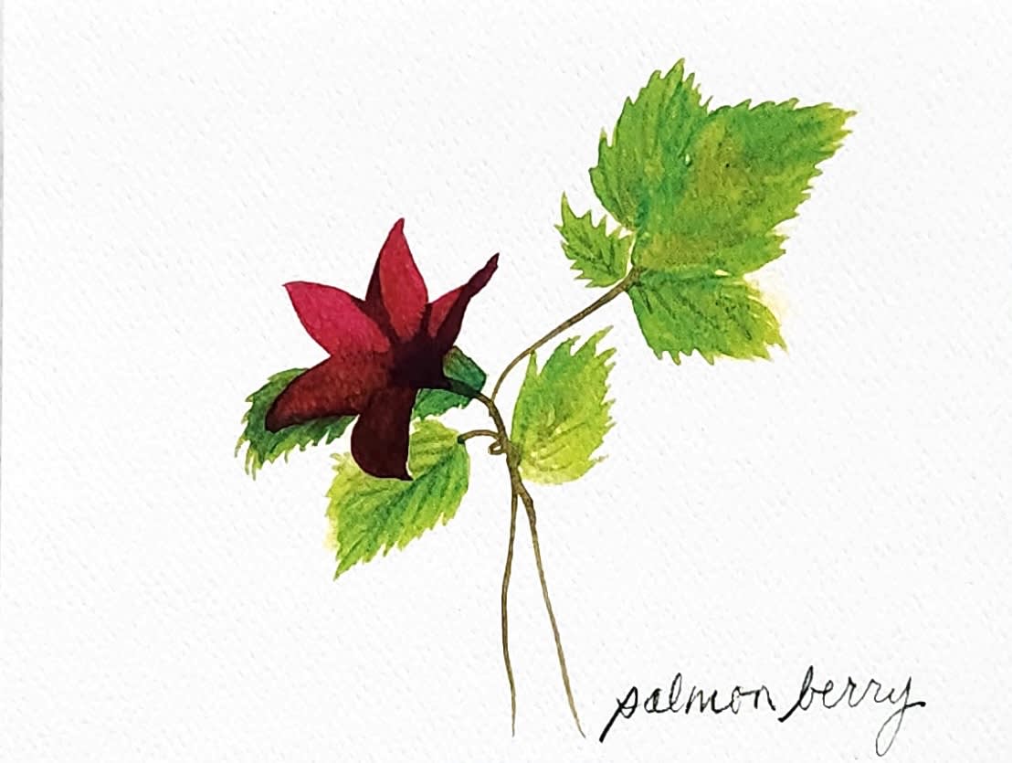 Single red flower with green leaves on white paper