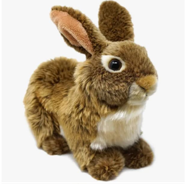 Plush brown rabbit with white chest on a white background