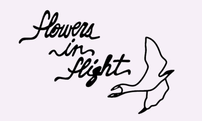 Text reading "flowers in flight" with a line-drawn bird on a pale pink background.