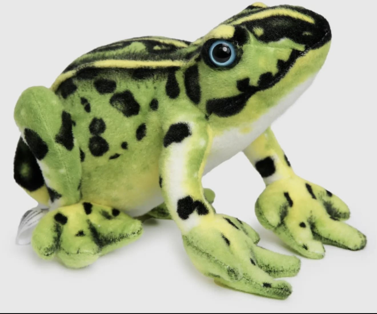Plush green-and-black spotted frog toy on a white background