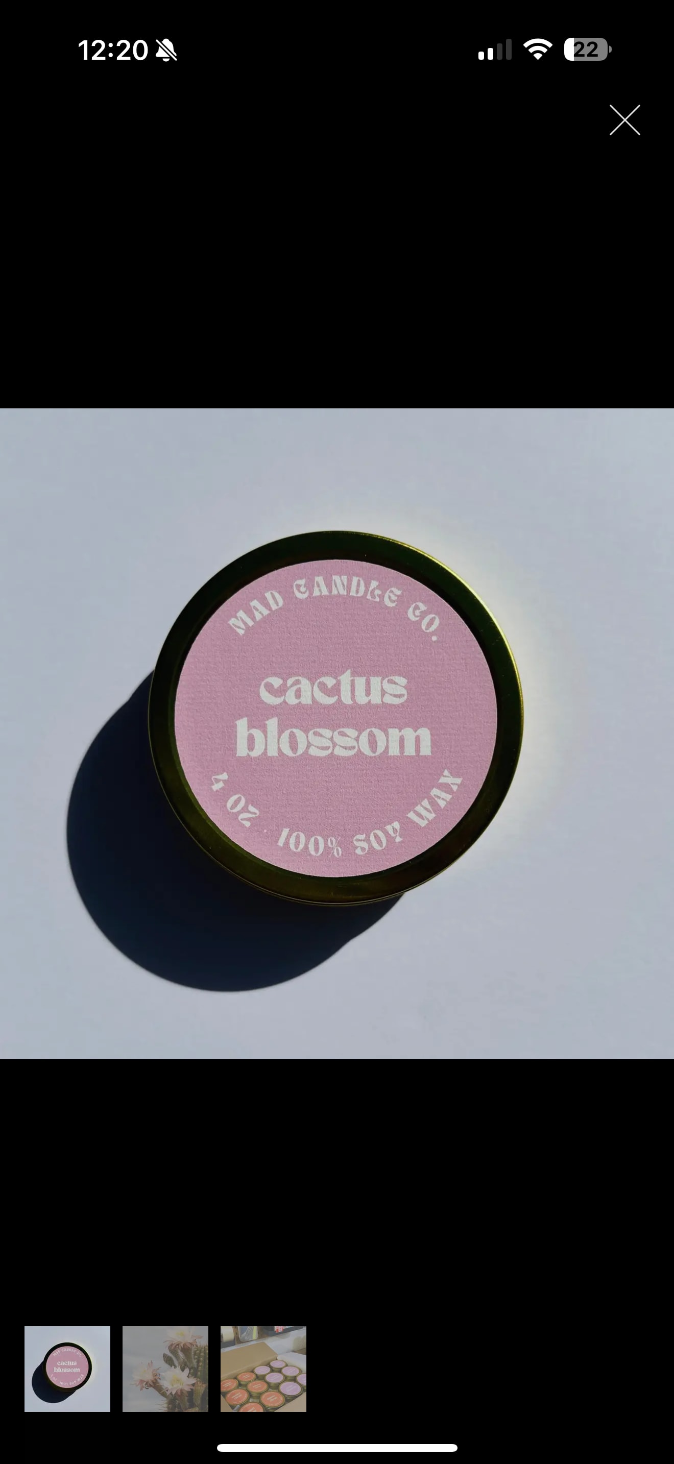Cactus Blossom Soy Candle - 4 oz Gold Tin &amp; Wood Wick - Prickly Pear • Aloe Vera • Cactus Flowers • Agave Nectar  A refreshing oasis in the desert's embrace. Crisp aloe water and cucumber bring clarity and coolness, while the succulent blend of prickly pear, aloe vera, and cactus blossom blooms in the heat of the sun. Agave nectar adds a touch of sweetness, creating an exotic and tranquil floral escape. 