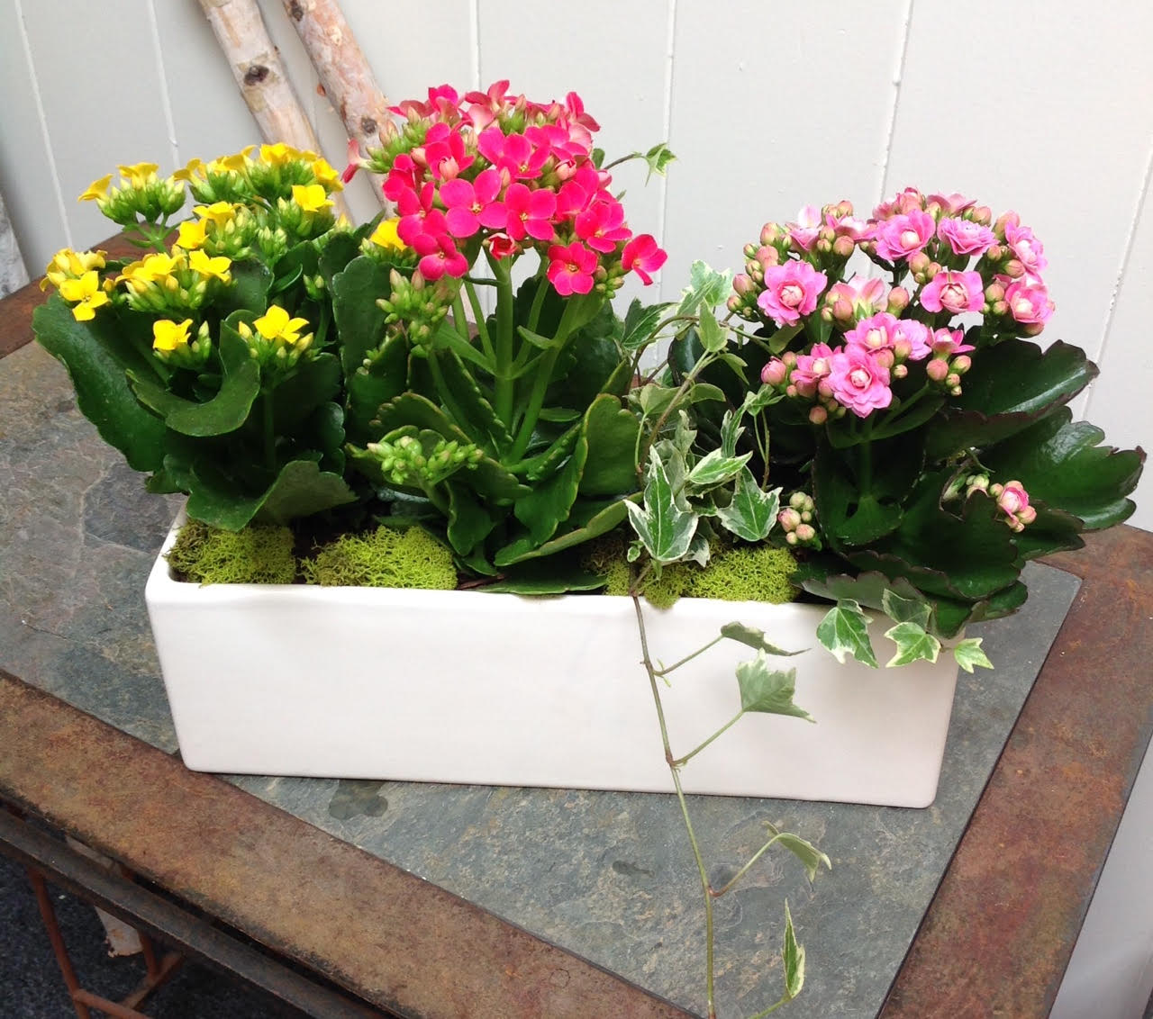 Rectangular planter with pink and yellow flowering succulents