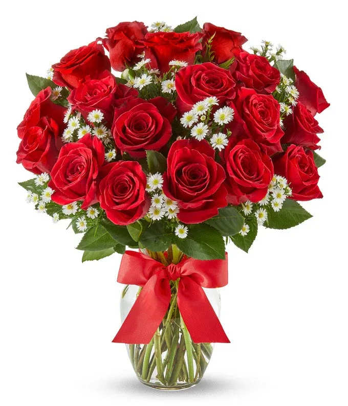 Luxury Red Roses - 18 Roses - A stunning bouquet of 18  radiant red roses, complemented by the delicate beauty of Monte Casino flowers, creates a mesmerizing display of love and elegance. Carefully arranged in a crystal-clear glass vase, the vibrant blooms stand tall, conveying a message of passion and affection. A finishing touch of a vibrant red bow adds a touch of sophistication, making this bouquet a perfect expression of heartfelt sentiments and a timeless symbol of romance. 