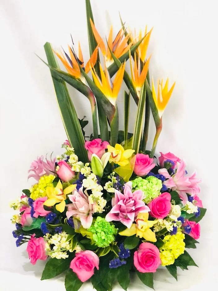 Tropical flower arrangement with pink roses and bird of paradise