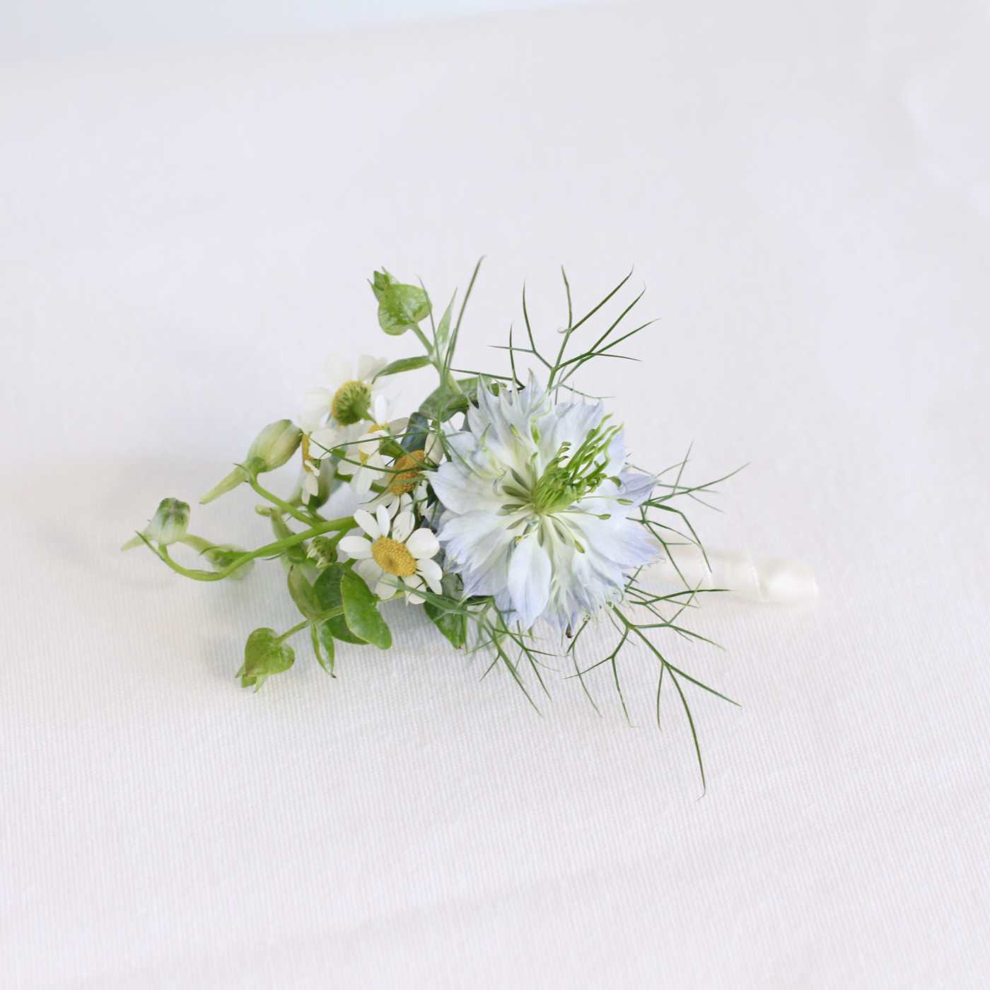 Small white flower arrangement with airy greenery on a white background