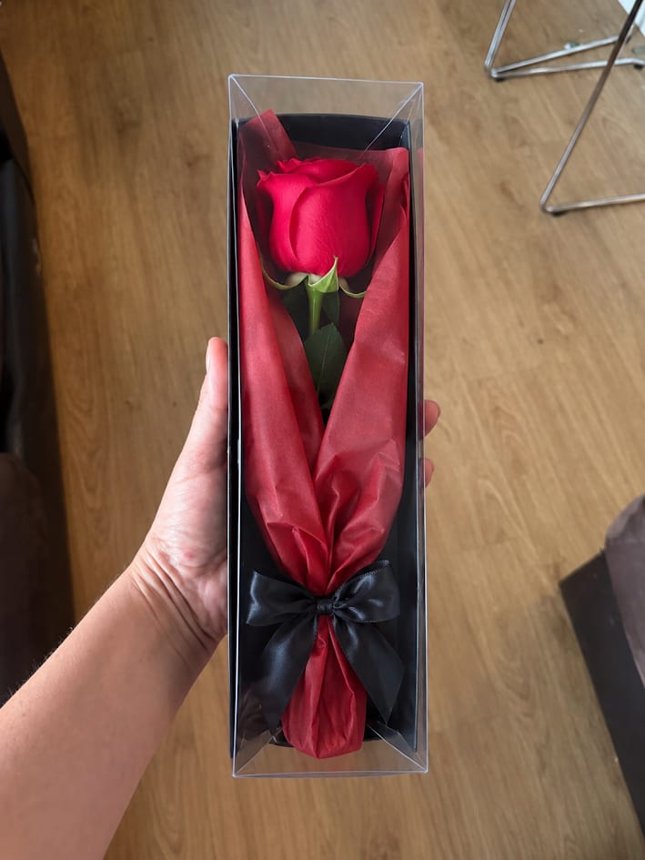 Single red rose in a clear gift box with red tissue and a black ribbon